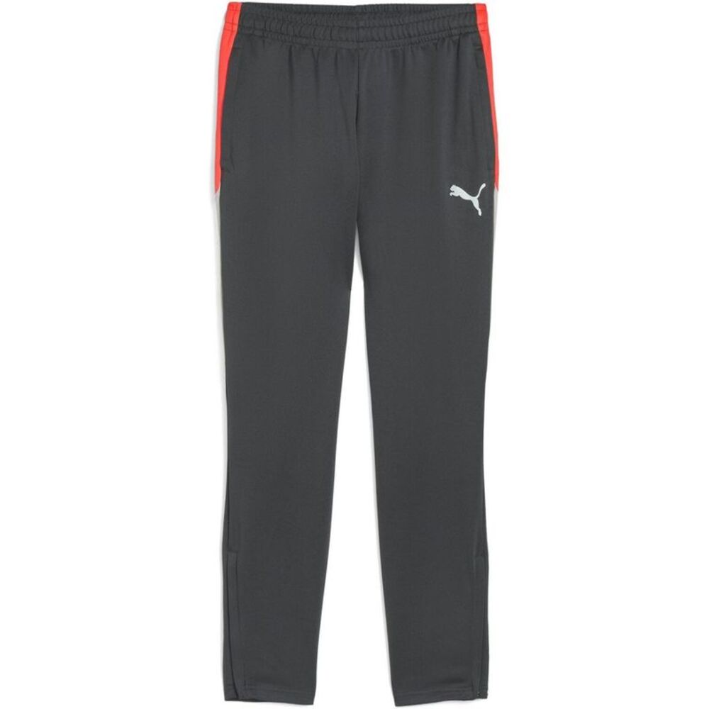Puma Mens Individualliga Tracksuit Bottoms / Shadow Grey